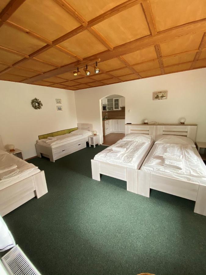 Penzion U Pesku Horní Planá Exterior foto